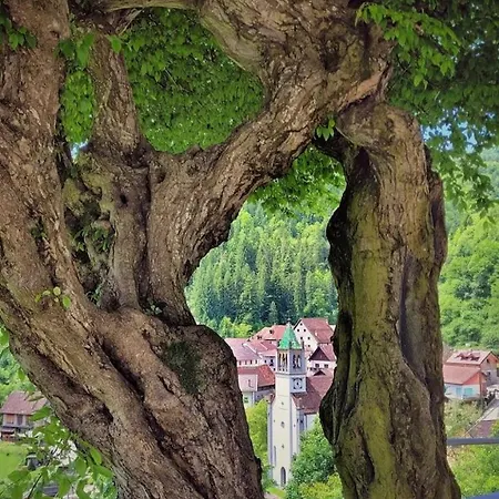 Апартаменты Il Ricjul *